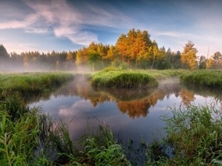 Пазл #63249