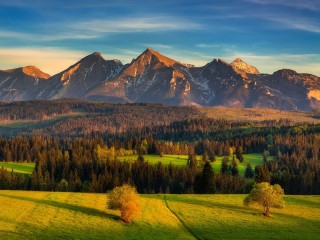 Пазл #57205