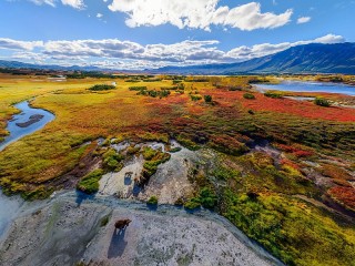 Пазл #32335