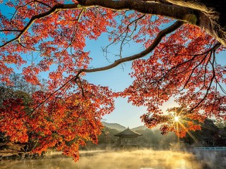 Пазл «Пейзаж с пагодой»