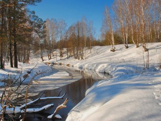 Пазл #299