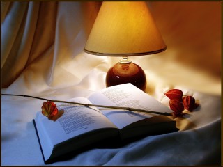 Пазл «Перед сном»