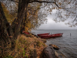 Пазл #35707