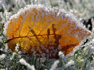 Пазл #65983