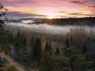Пазл «Пейзаж»