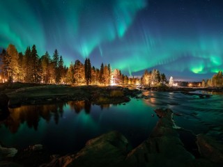 Пазл #47375