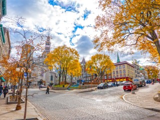 Пазл #66920