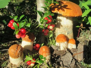 Пазл «Подосиновики»