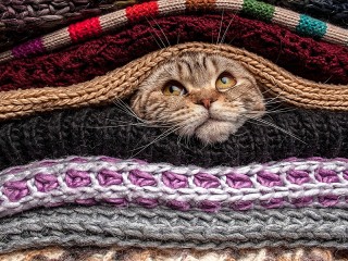 Пазл «Похолодало»