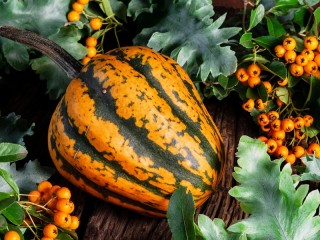 Пазл «Полосатая тыква»