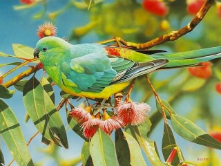 Пазл «Попугай»