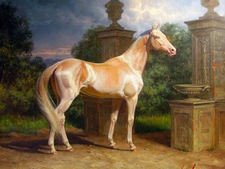 Пазл #71