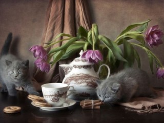 Пазл #67274