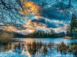 Пазл #65066