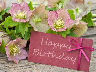 Пазл «Поздравление»