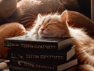 Пазл #20146