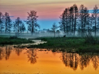 Пазл #47287