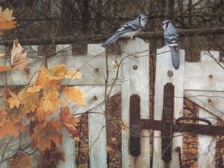 Пазл «Птицы»