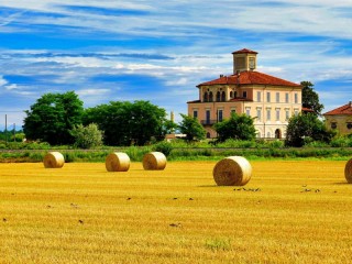 Пазл «Птицы на полях»
