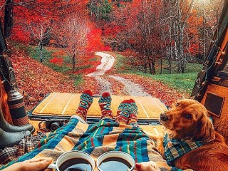 Пазл #18329