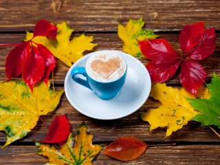 Пазл «Разноцветные листья»