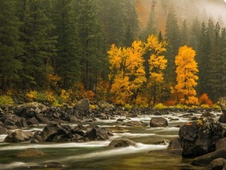 Пазл #63891