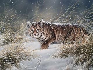Пазл #39589