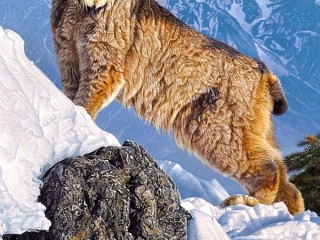 Пазл #53288