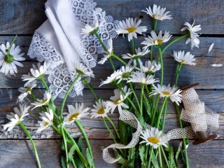 Пазл «Ромашки»