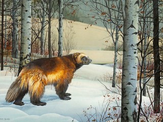 Пазл #54276