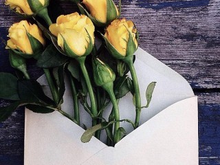 Пазл #25491