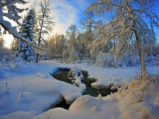 Пазл #21817
