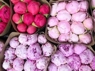 Пазл «С праздником»