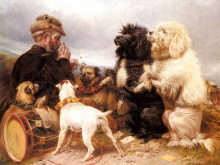 Пазл #6831