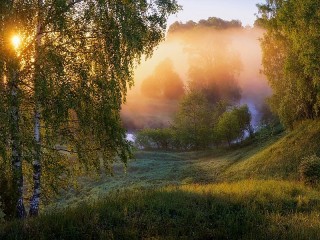 Пазл #27404