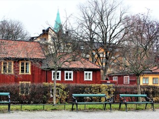 Пазл #58225