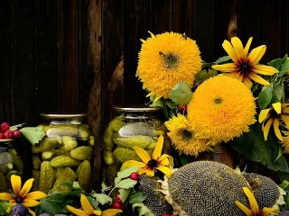 Пазл «Семечки с огурцами»