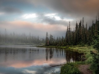 Пазл «Серое утро»