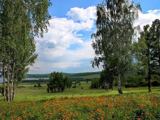 Пазл #26208