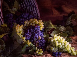 Пазл «Синий и белый»
