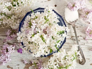 Пазл «Сирень»