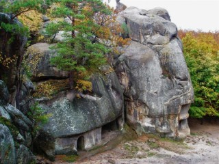 Пазл #46224