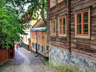 Пазл «Скансен»