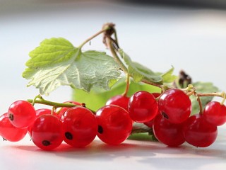 Пазл «Смородинка»