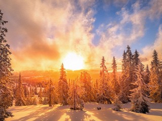 Пазл #36175