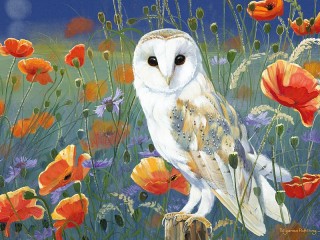 Пазл «Сова»