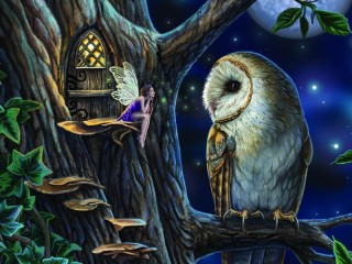 Пазл «Сова и фея»