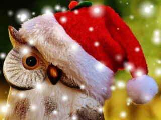 Пазл #48223