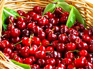 Пазл «Спелая вишня»