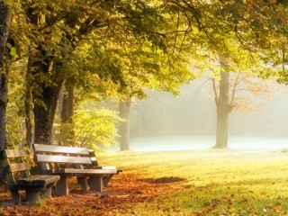 Пазл «Stuttgart»